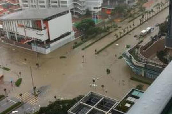 永利官网注册-奔流｜陈家泠
：祝中法友谊如瓷般坚硬
、陶般真诚