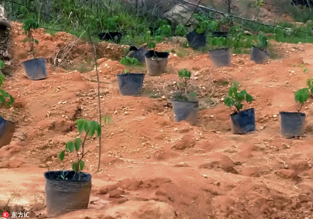 半岛在线登录下载-半岛在线登录下载