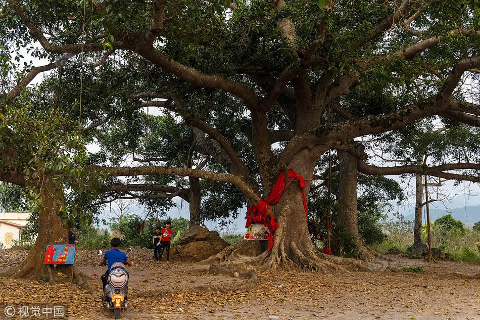 半岛在线登录官网-陕西�，又一个500亿区县呼之欲出？