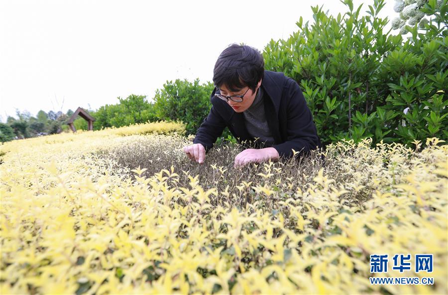 bob体官网入口下载-女子因蒜苗被轧怒砸奔驰车
，河南警方：双方就财产损失达成谅解