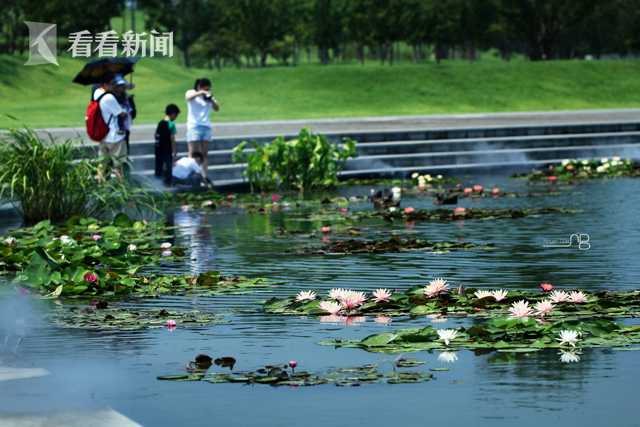 半岛星空体育-奔流｜陈家泠	：祝中法友谊如瓷般坚硬、陶般真诚