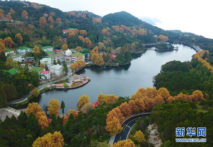 必威登录平台-必威登录平台