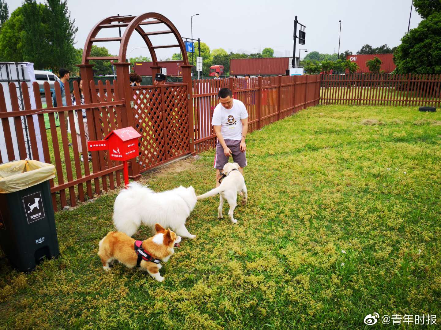 澳门吉尼斯人游戏平台下载-周雨彤 一次醉酒换来一生内向