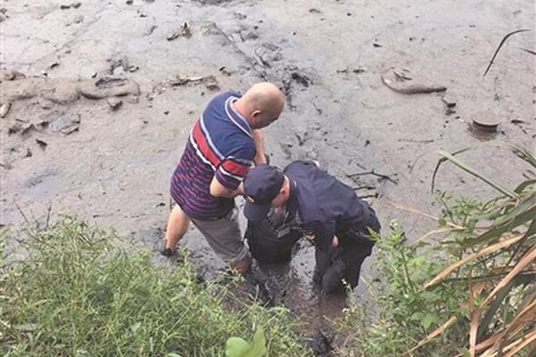 半岛在线登录下载-半岛在线登录下载