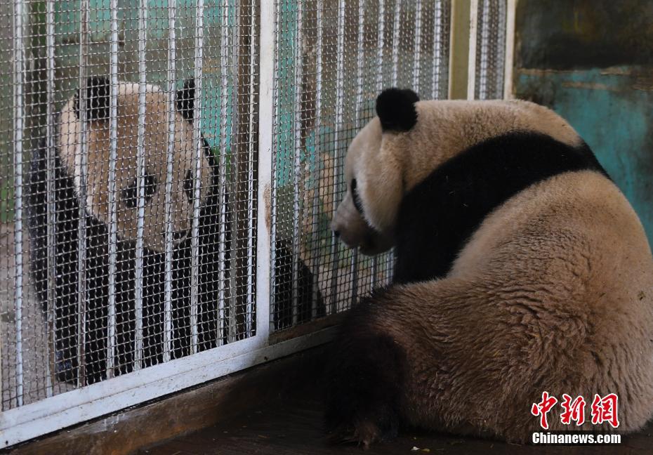 恒达娱乐登录相关推荐1