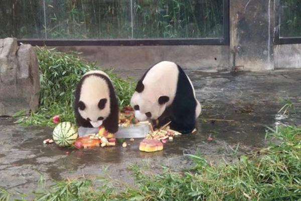 半岛娱乐下载-虐猫考生参加兰大研究生调剂面试，未现身思政考核环节
，疑似面试未通过，结果究竟如何
？