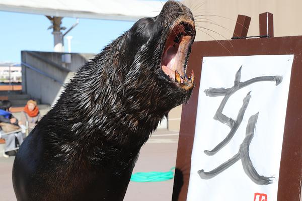 江南官方入口-胡锡进希望社会给虐猫考生其他通道