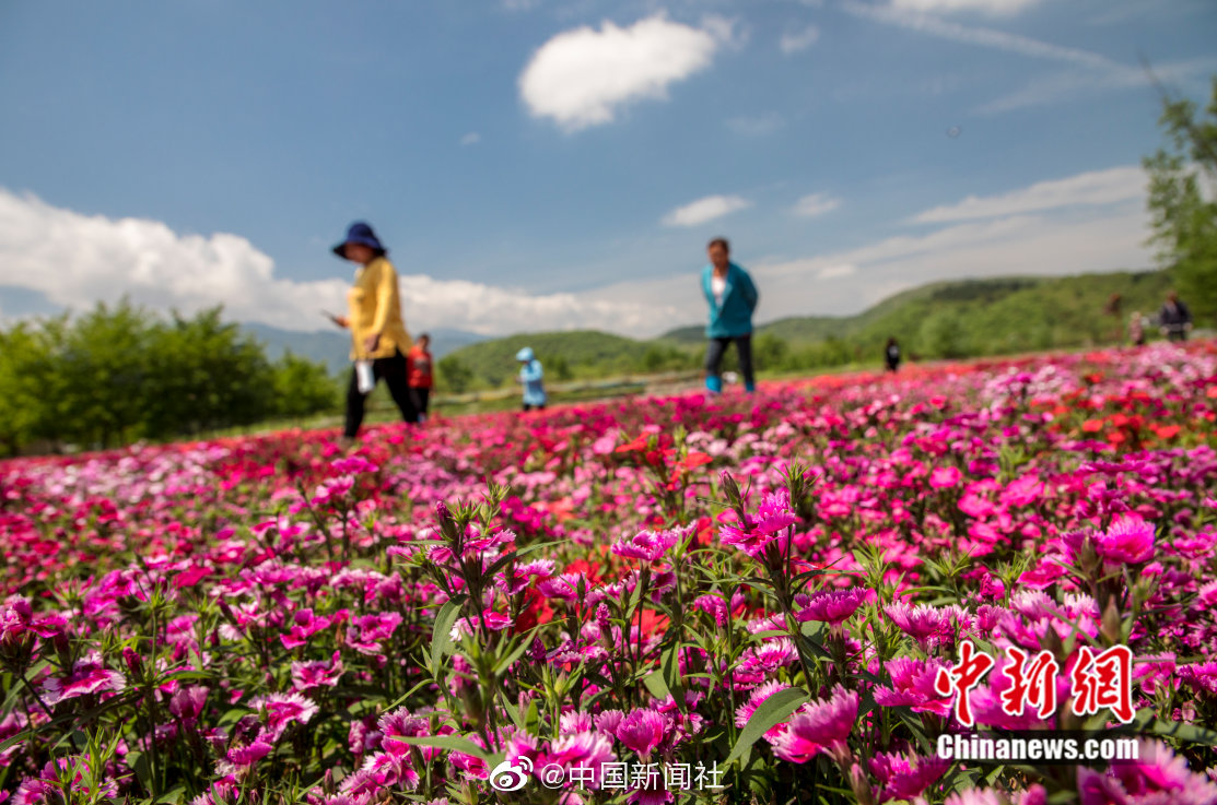 半岛官网手机版登录-半岛官网手机版登录