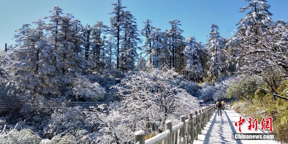 千亿官网登录入口-如何将旧金山愿景转为实景