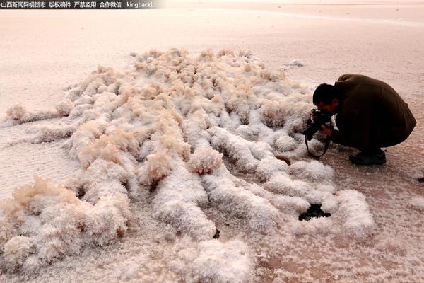 问鼎最新登录地址-2024年5亿大模型新应用井喷即将到来
，算力问题该如何解决？