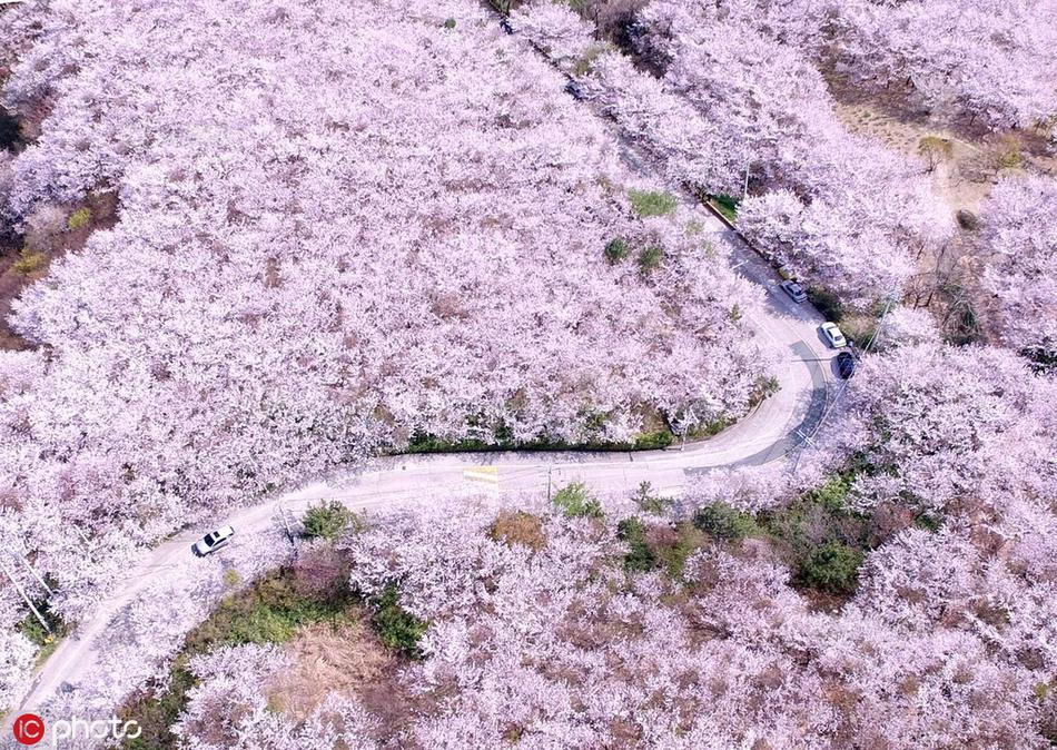 乐鱼在线登录平台-乐鱼在线登录平台