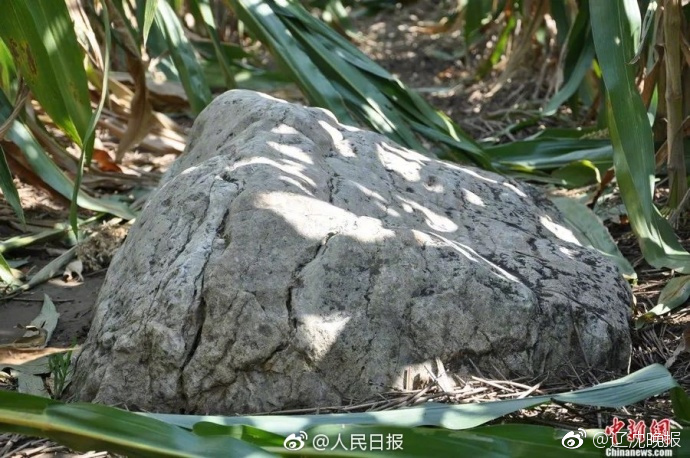 天博tb登录界面相关推荐5”