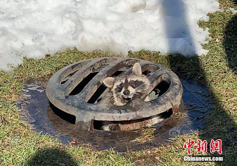 半岛在线登录官网-运动健身中你交过朋友么�？如何看待运动健身中的友谊？它对你的运动有何作用？