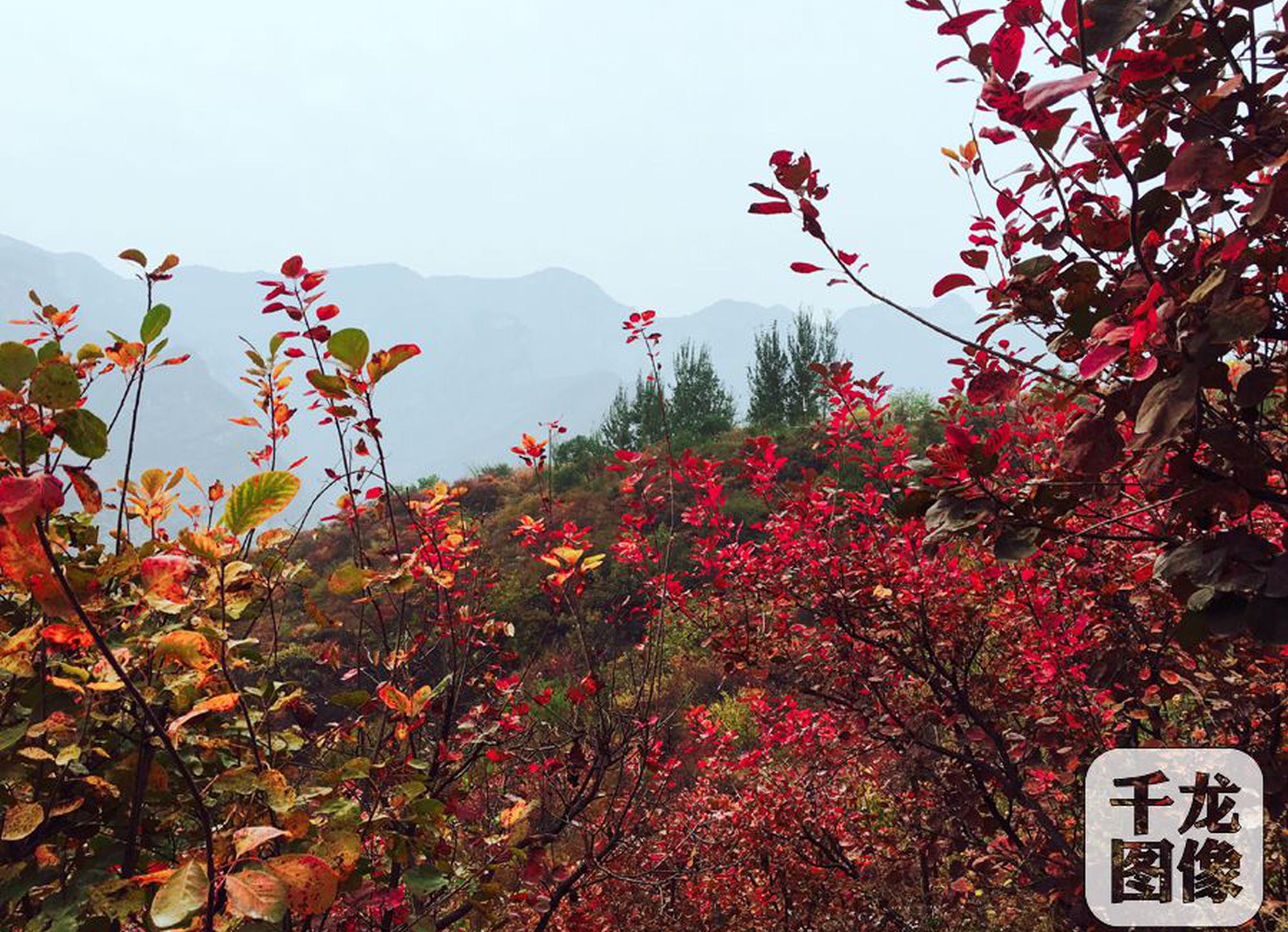 江南app平台下载官网-在职研究生有必要读嘛