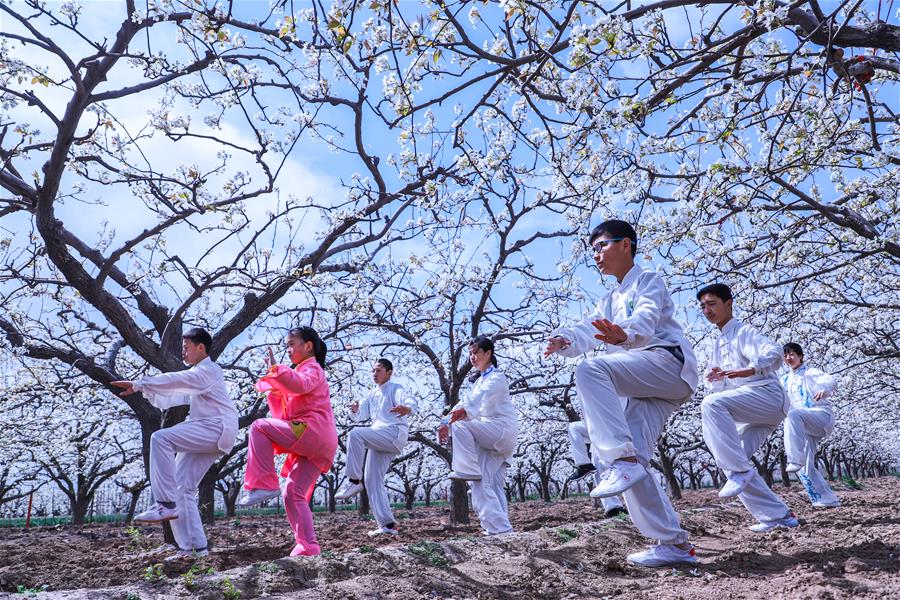 大阳城娱乐游戏-奔流｜陈家泠	：祝中法友谊如瓷般坚硬、陶般真诚