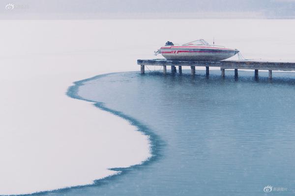 金狮贵宾线路检测