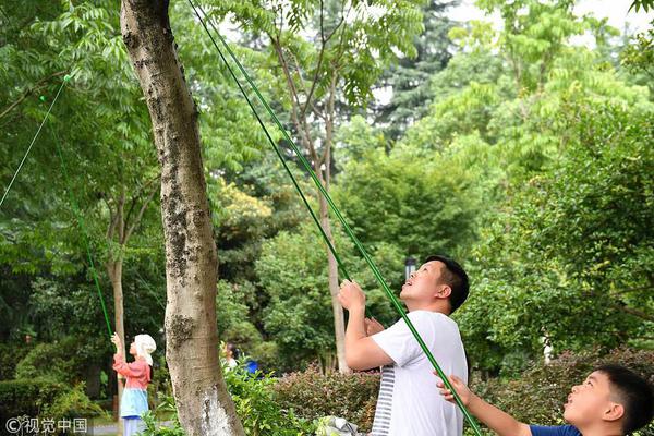 pg电子娱乐十大平台-同志加兄弟是中越传统友谊最生动写照