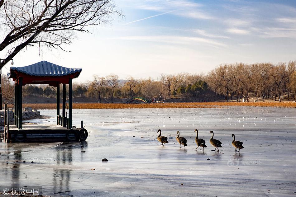 开云体云app官网入口-暴雪国服最快今年夏季上线