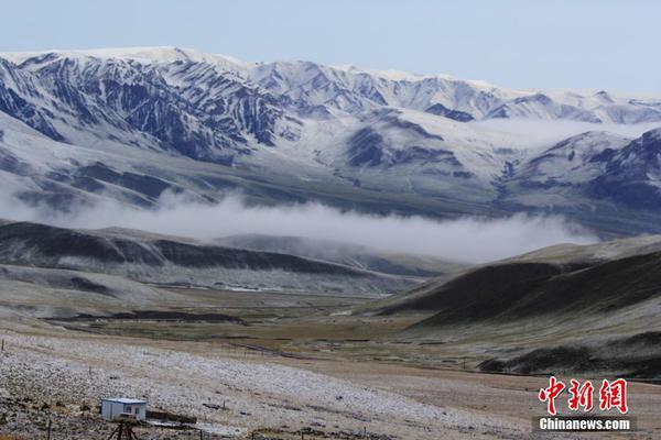 江南登录入口app下载-辞职旅行半年后我的生活翻天覆地