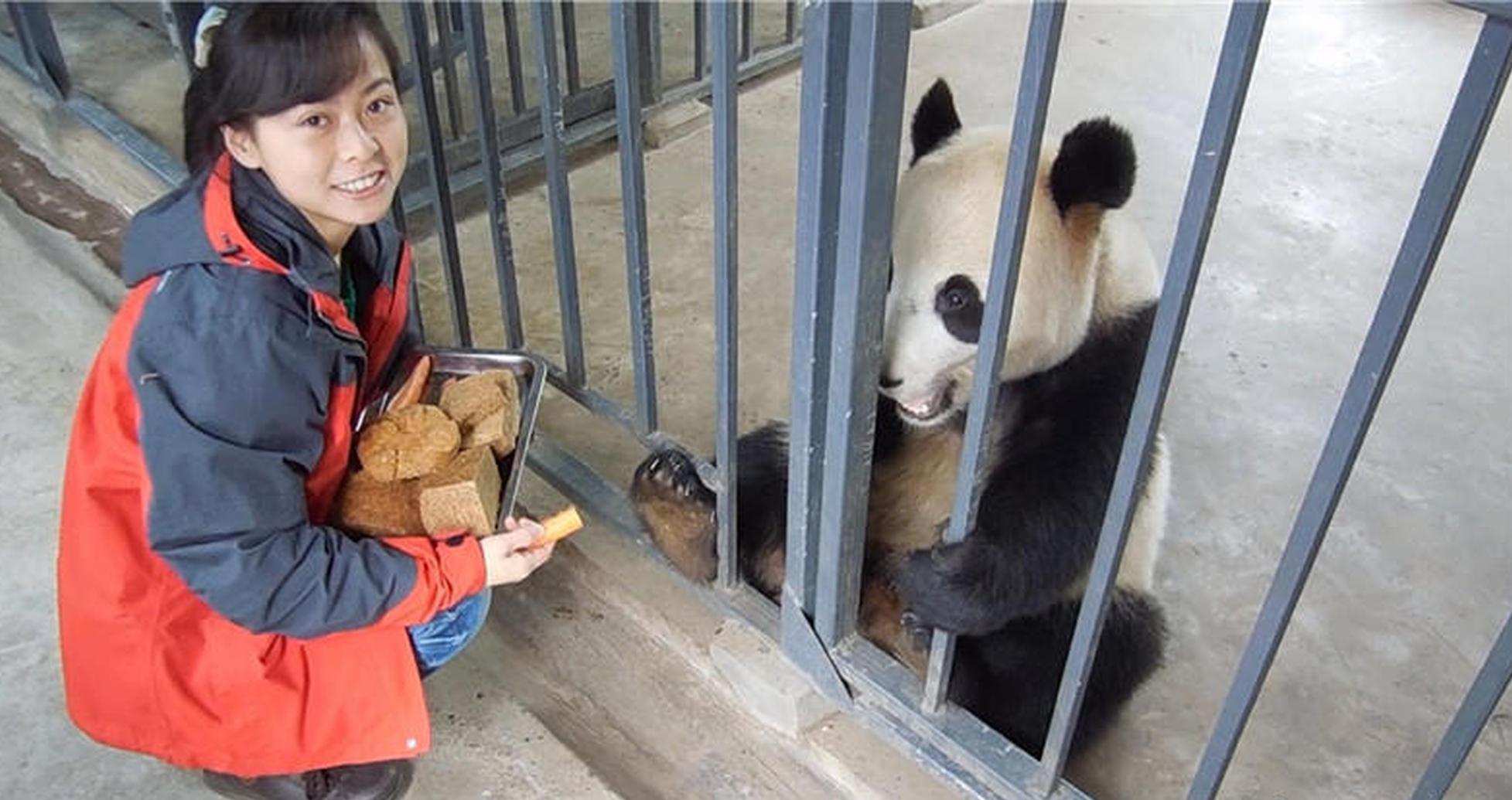 开云综合app-又一地削减编外人员
：福建永春要求服务窗口编外人员一律清退