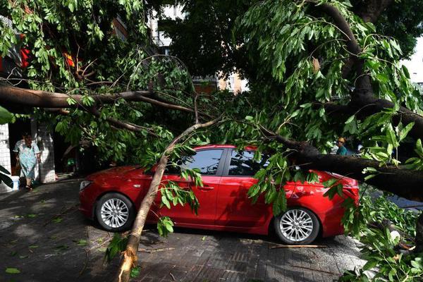 开云app苹果下载-遇袭身亡律师去年刚结婚 父母务农