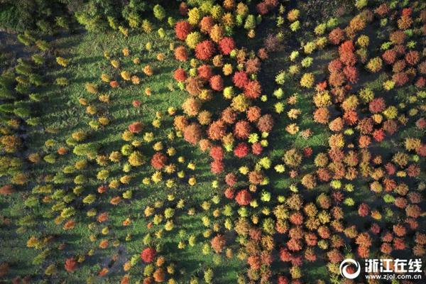 pg网赌游戏赏金女王-以为水煮蛋买来就是这样的