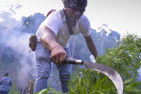 爱游戏在线登录入口相关推荐4