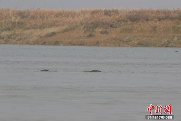 乐鱼官方-为什么数学书步骤不编写详细一点，让我们不再问「怎么来的」这样的问题？