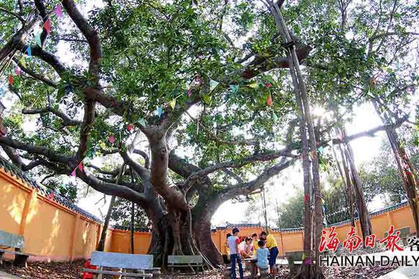 半岛在线登录下载-半岛在线登录下载