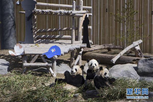 半岛星空体育-为什么 NBA 联赛没有降级制度？