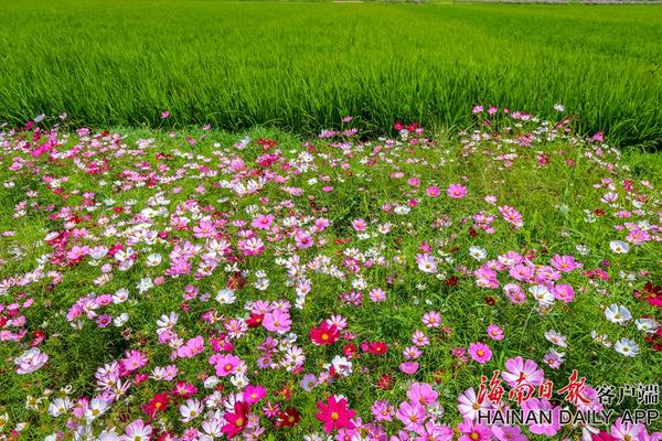 十大靠谱买球的app-顶流蓝莓“C位”出道 联农带农共绘马山乡村致富图