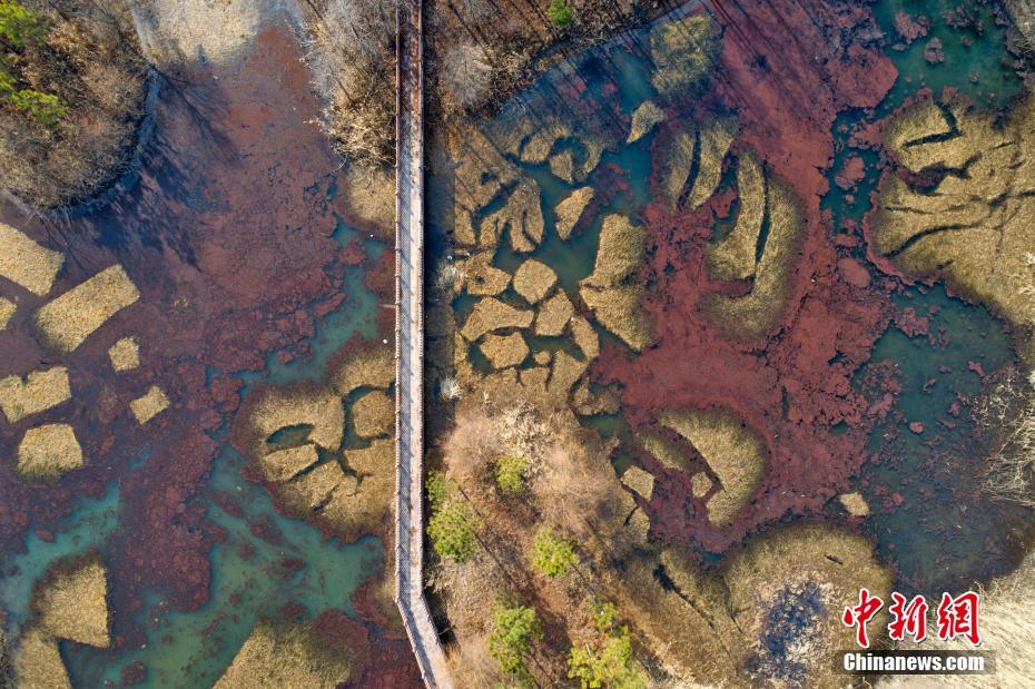 现金游戏可提现的网站-海贼王 945 话