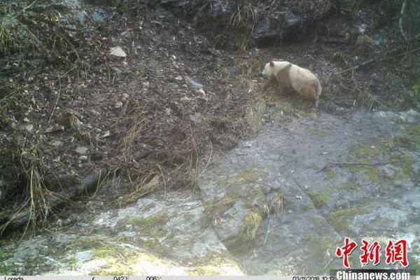 华体育会在线登陆-广东14地的雨已下了整月“配额”