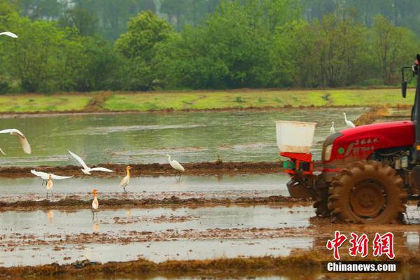 博亚娱乐网-清华、天大	、复旦等国内各大高校的春日美景陆续进入最佳观赏期，你手机里有哪些「美得不可思议」的春景
？