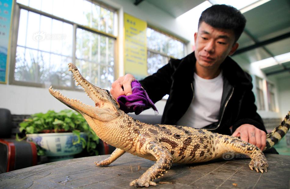 开云在线登陆入口-虐猫考生参加兰大研究生调剂面试	，未现身思政考核环节，疑似面试未通过，结果究竟如何？