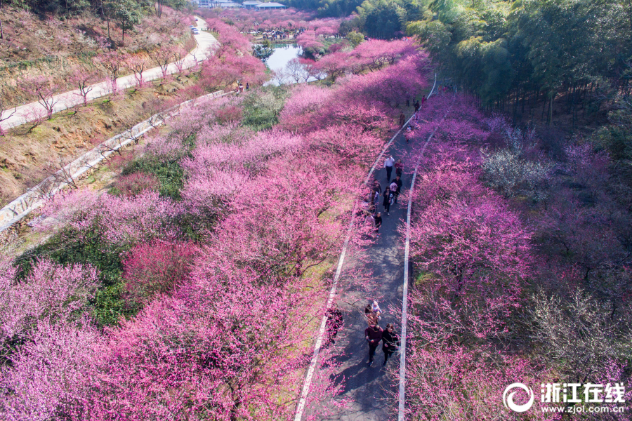 od平台在线登录-od平台在线登录