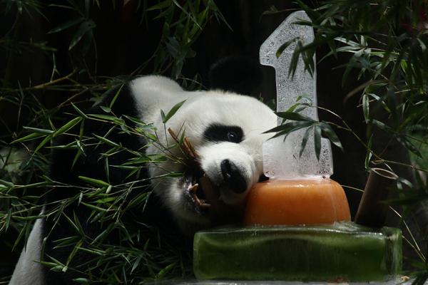 开云苹果下载app-开云苹果下载app