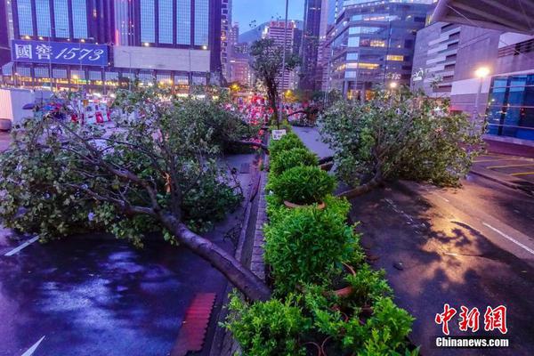 大阳城43335集团娱乐免费-永夜星河春日花絮