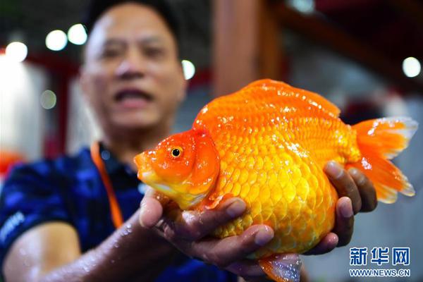 星空app平台官网