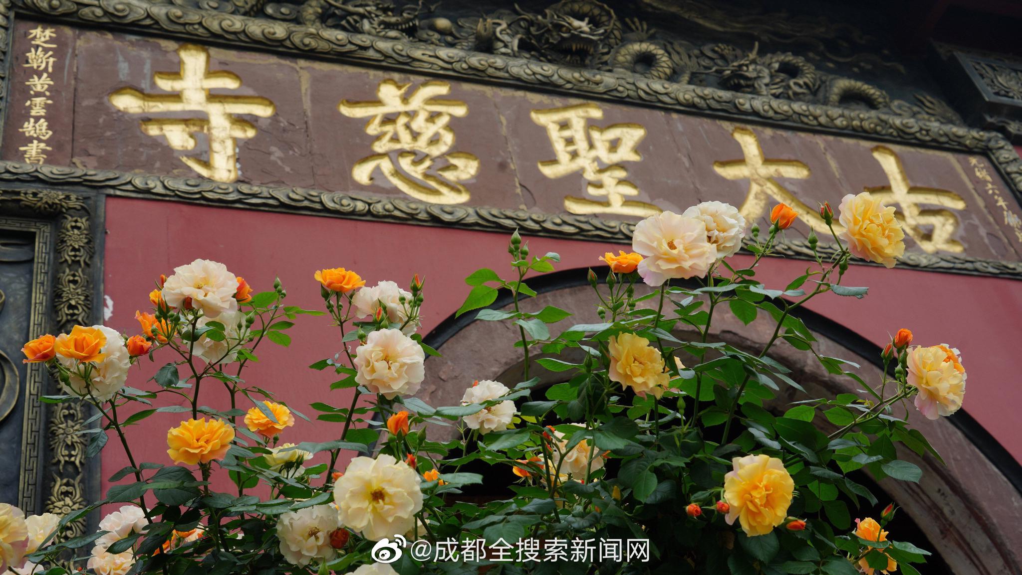 买球赛的网站-雷暴雨夜	，桂西公路部门无惧风雨
，逆行而上
，保通保畅保安全！