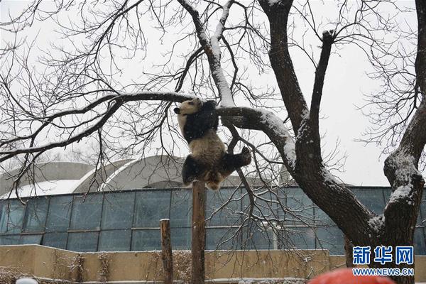 云体育app官网入口下载ibs-下雨天为什么容易思绪万千？