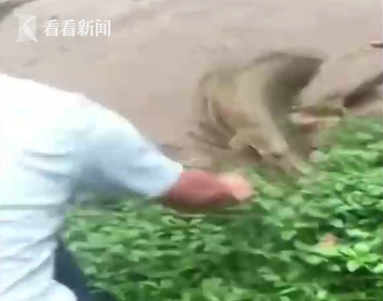 必威在线注册-雨纷纷 我还不想忘记他