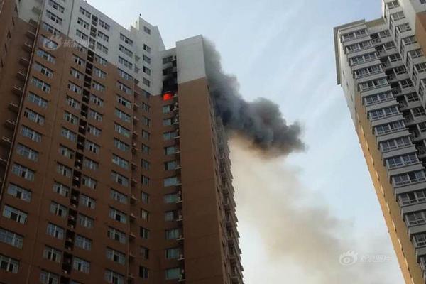 b 体育下载-近期小学生风靡玩“烟卡”
，三亚市教育局
：禁止带入校园	，可没收