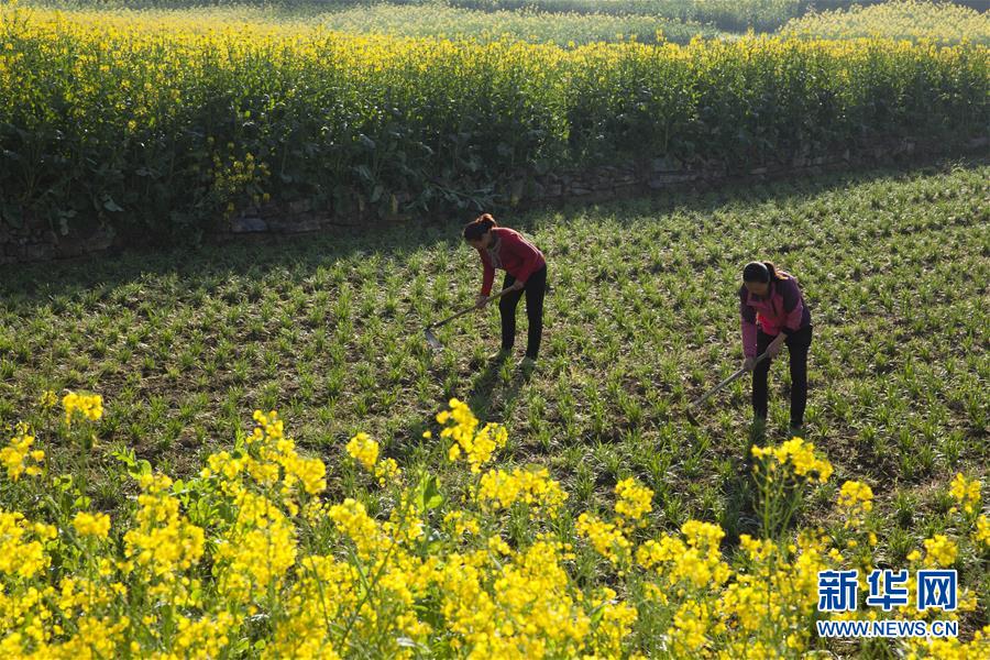 江南官方入口-卡芙卡：一觉睡醒家被偷了？