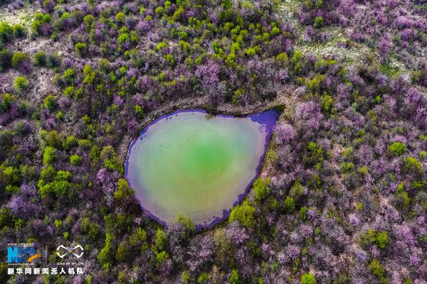 星空体育在线登录入口