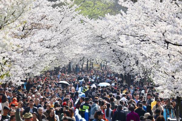 半岛在线登录官网-半岛在线登录官网