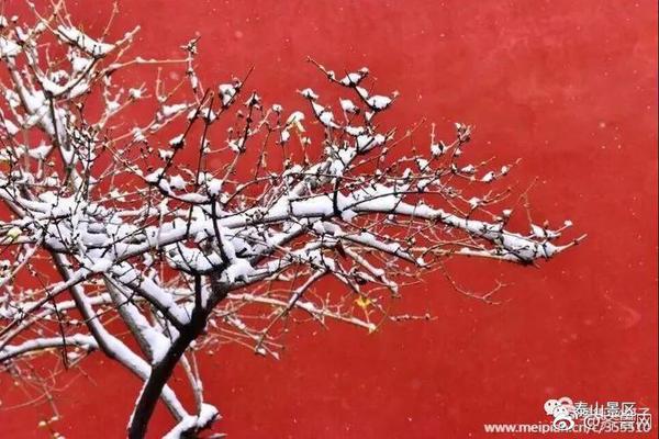 米乐下载平台官网-暴雪国服最快今年夏季上线