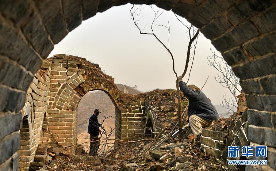 华体官网app登录-又一地削减编外人员：福建永春要求服务窗口编外人员一律清退