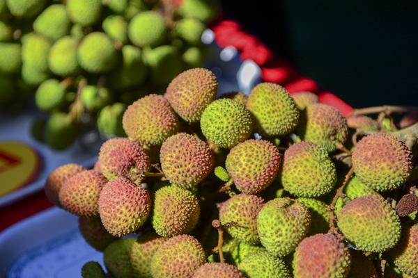 开元大厅下载-今年唯一日全食:太阳被吞成指环