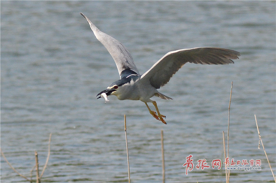 所有澳门电子游戏平台-下雨天为什么容易思绪万千�？